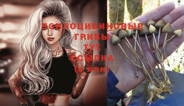 Альфа ПВП Магас