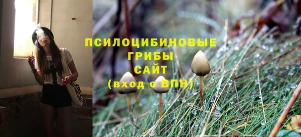 гидра Нея
